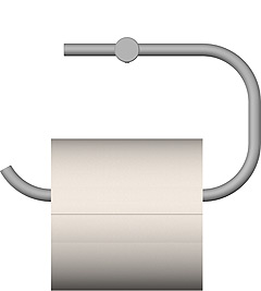 Wall mounted toilet paper holder